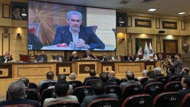مدنی‌زاده: تعدد قوانین فعالان اقتصادی را سردرگم می‌کند - هشت صبح