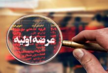 شکیمیا؛ دومین نخ‌فروش بازار سرمایه در مسیر عرضه اولیه - هشت صبح