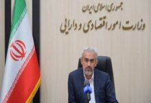 مدنی‌زاده: رقم نهایی افزایش اعتبار کالابرگ به زودی مشخص می‌شود - هشت صبح