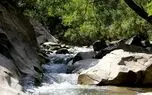 چال ماهی تهران کجاست؟