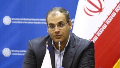 حمایت از نقش مادری در کنار مشارکت اقتصادی زنان باید در دستورکار باشد - هشت صبح