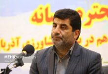 فتحی: کالابرگ می‌تواند الگوی مصرف دهک‌های پایین را تغییر دهد - هشت صبح