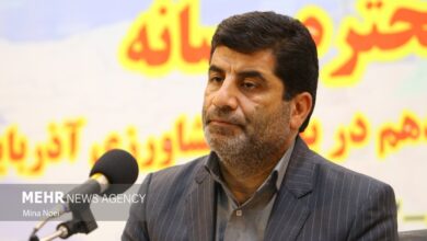 فتحی: کالابرگ می‌تواند الگوی مصرف دهک‌های پایین را تغییر دهد - هشت صبح