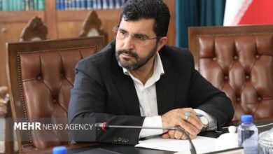 گرانی افسارگسیخته خودرو قابل قبول نیست؛ دولت باید پاسخگو باشد - هشت صبح