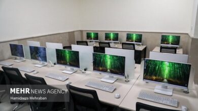 بیش از ۱۹۵ هزار کسب‌وکار روستایی سال ۱۴۰۴ ایجاد شد - هشت صبح