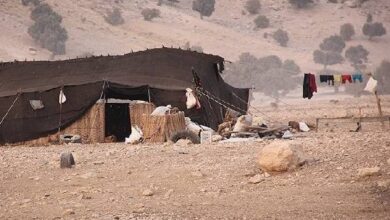 تأکید جمعی از نمایندگان بر لزوم رفع مشکلات زیرساختی روستاها و عشایر - هشت صبح
