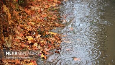 صدور دو هشدار هواشناسی برای ۳۰ استان؛ تشدید بارش‌ها و رگبار در راه است - هشت صبح