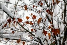 باران و برف در کمین تهران؛ هشدار کاهش ۵ درجه‌ای دما و احتمال یخبندان - هشت صبح
