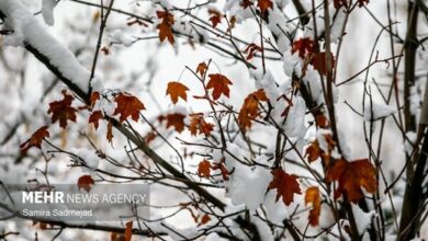 باران و برف در کمین تهران؛ هشدار کاهش ۵ درجه‌ای دما و احتمال یخبندان - هشت صبح