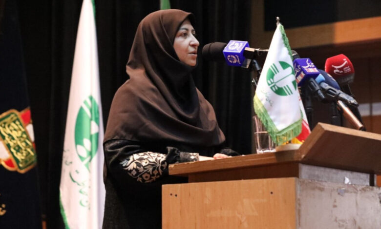 کمبود ۵۰ درصدی نیروی انسانی در ساختار محیط‌زیست کشور - هشت صبح
