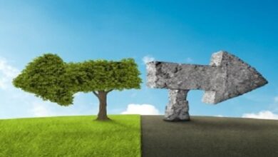 شوراسازی در دولت؛ موازی‌کاری خزنده یا بازآرایی ساختار تصمیم‌گیری؟ - هشت صبح