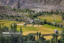 آب و خاک سالم در کنار تغذیه سالم مهم است - هشت صبح