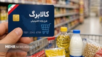 واریز ۱۷ هزار و ۵۶۰ میلیارد تومان به حساب مجری طرح افزایش کالابرگ - هشت صبح