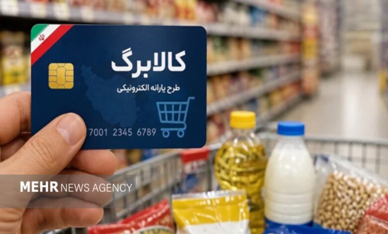 واریز ۱۷ هزار و ۵۶۰ میلیارد تومان به حساب مجری طرح افزایش کالابرگ - هشت صبح