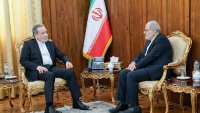تاکید عراقچی بر بهره‌گیری از ظرفیت‌های دیپلماسی - هشت صبح