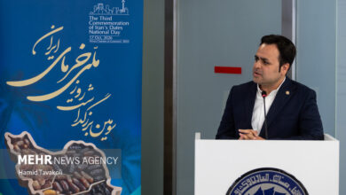 بزرگداشت روز ملی خرمای ایران - هشت صبح