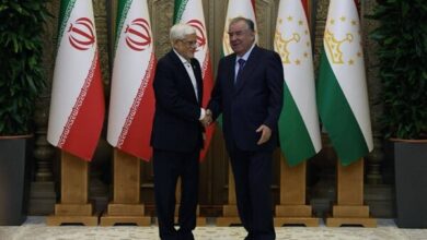 تأکید عارف و امامعلی رحمان بر ایجاد اتحادیه کشورهای فارسی‌زبان - هشت صبح