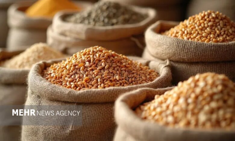 افت قیمت جهانی گندم و ذرت در برابر گرانی روغن و برنج - هشت صبح