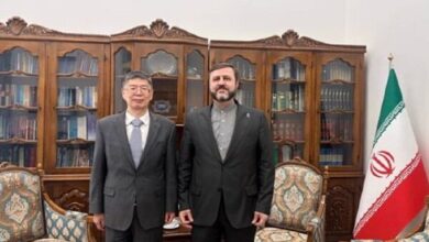 غریب‌آبادی: ایران و چین، هر دو بر لزوم توسعه همکاری‌ها تاکید دارند - هشت صبح