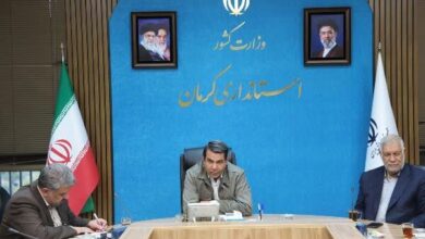 رجبیمشهدی: کرمان از پیشروترین استانها در تأمین برق تابستان بود - هشت صبح