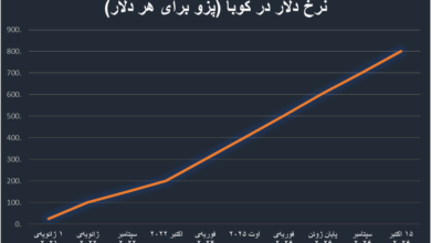 ارزش پول ملی در چنگال تحریم؛ بازخوانی دو تجربه جهانی برای ایران