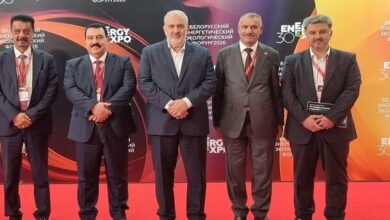 علی‌آبادی: به دنبال اتصال شبکه برق به روسیه از مسیر کشور ثالث هستیم - هشت صبح