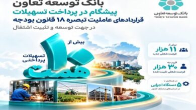 بانک توسعه تعاون پیشگام در پرداخت تسهیلات تبصره ۱۸ - هشت صبح