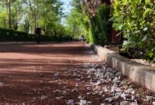 آتش سوزی مجموعه ورزشی انقلاب خسارت جانی و مالی نداشت