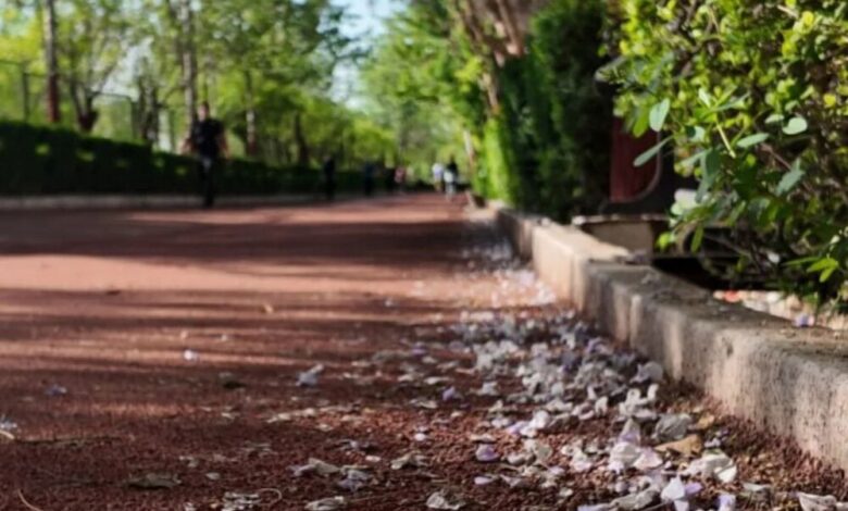 آتش سوزی مجموعه ورزشی انقلاب خسارت جانی و مالی نداشت