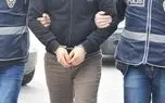 سارق دختران مدل