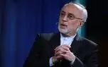 علی‌اکبر صالحی: از مسیر صلح حدیبیه می توان به فتح مکه رسید
